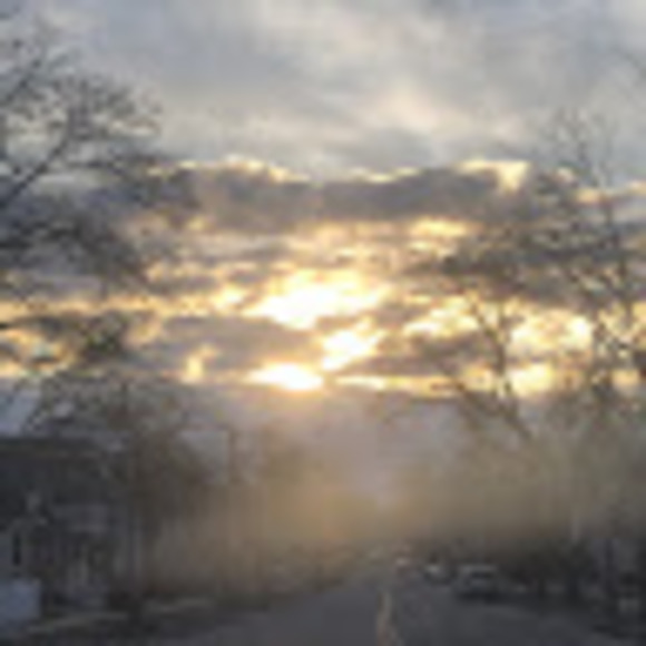 Meet your Posher, Samerra - Picture 1 of 1